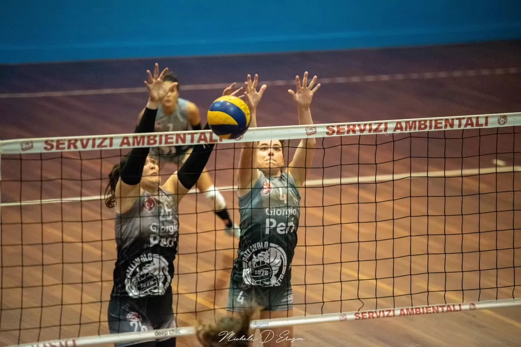 dsc_3025.webp