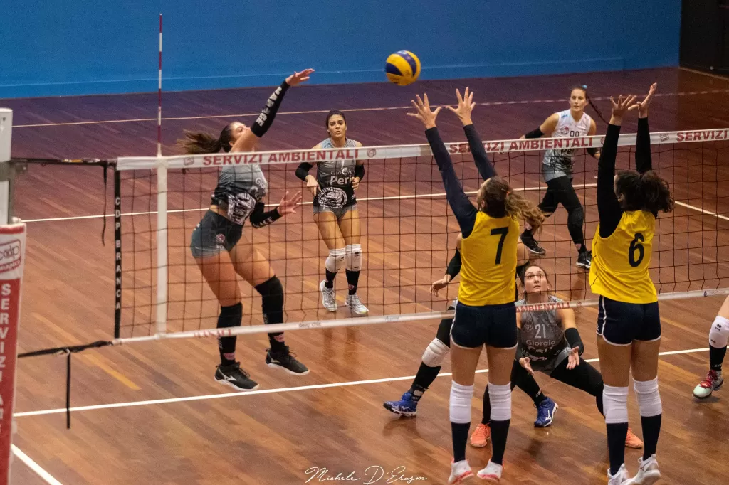 dsc_3109.webp