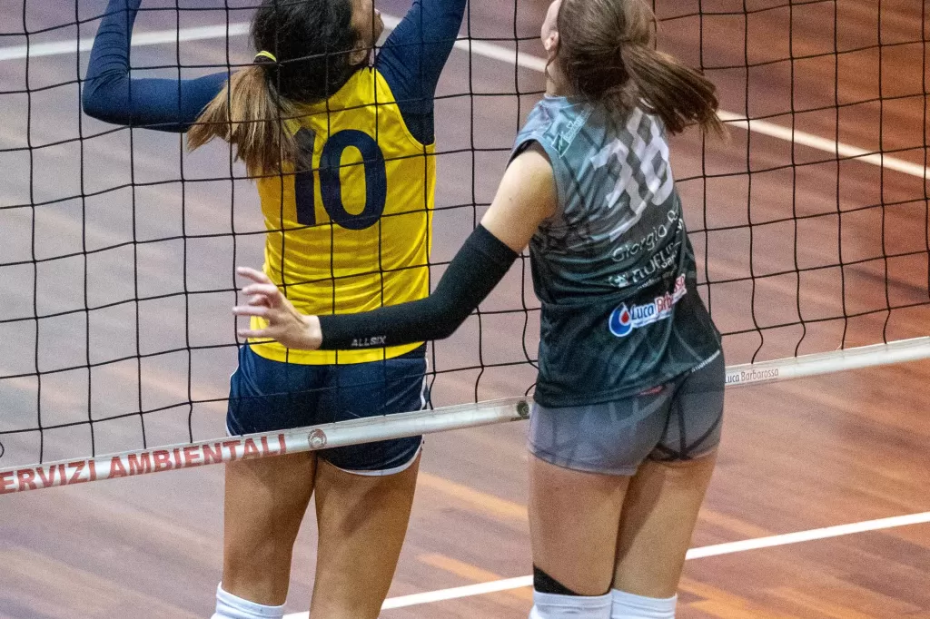 dsc_3163.webp
