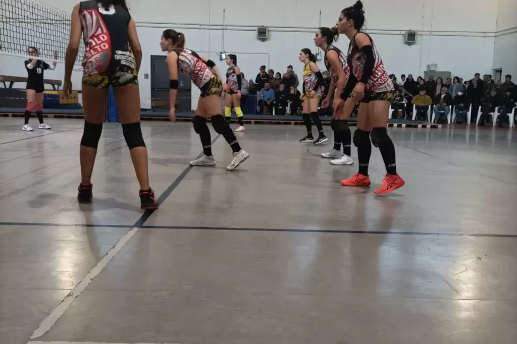 317617770_5628709260540572_4343593803961867301_n.webp