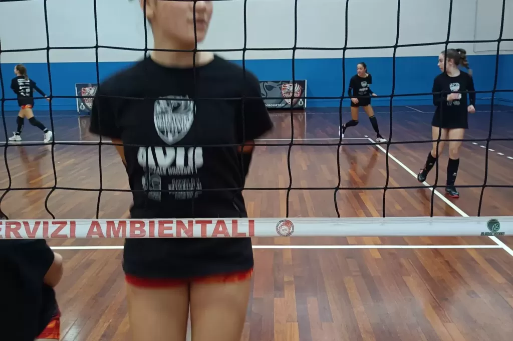 1671002666204.webp