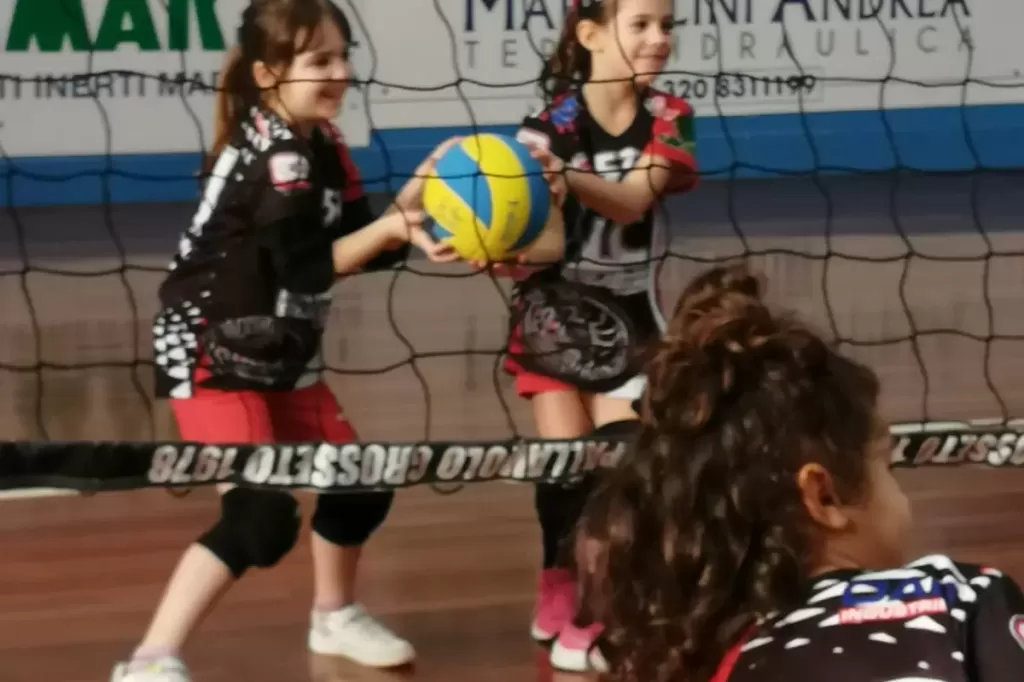 319550346_1185296729029239_2841302645660059449_n.webp