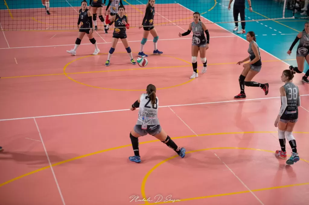 1673017375246.webp