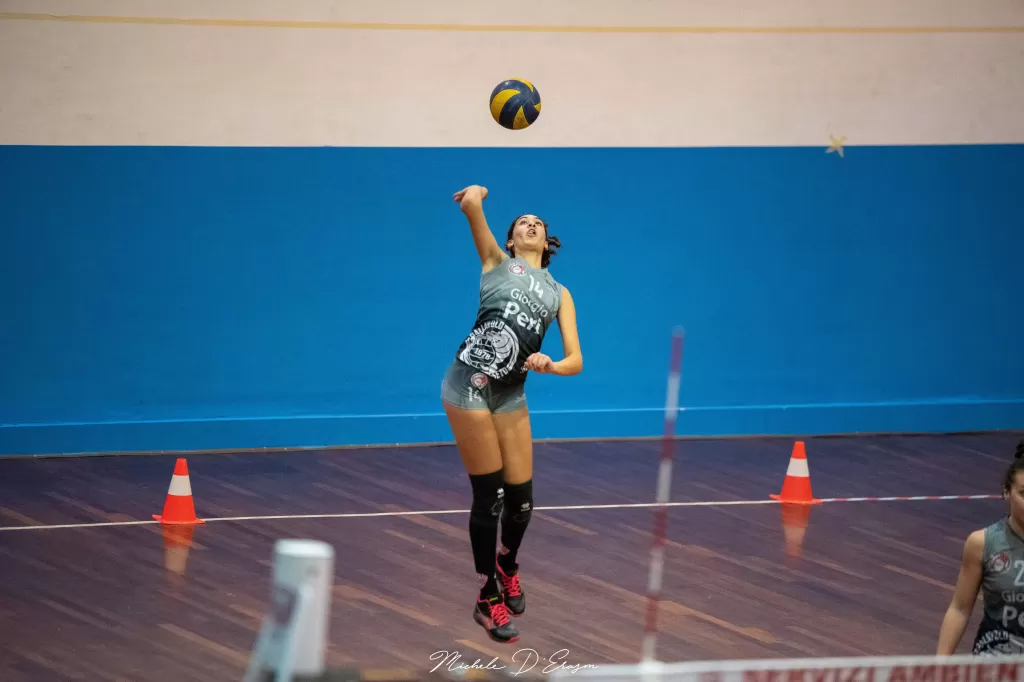 dsc_5154.webp