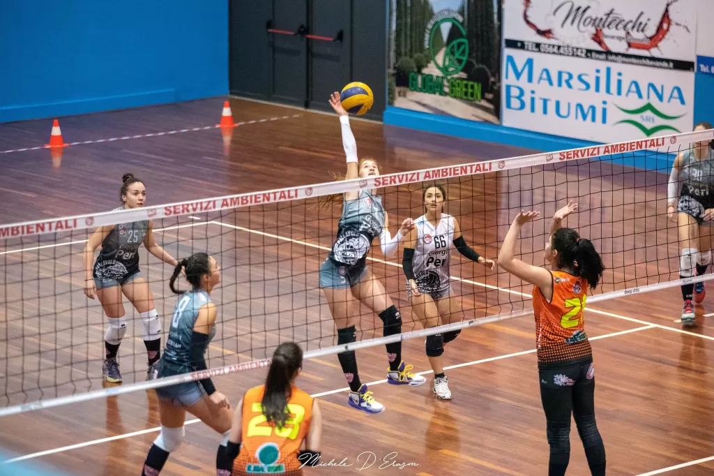 dsc_5170.webp
