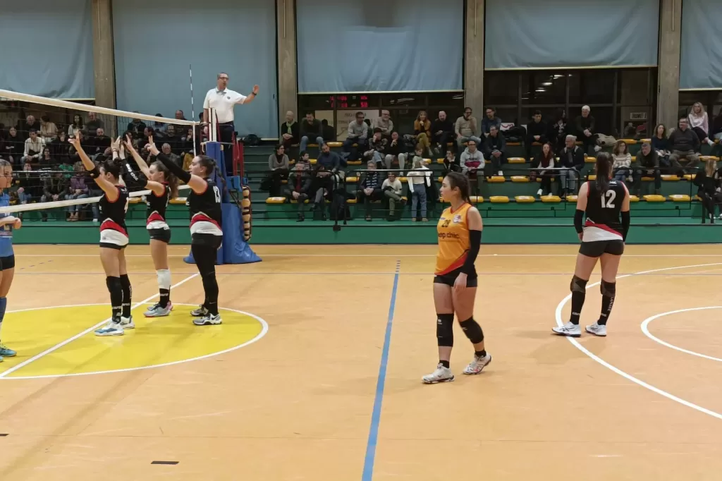 323435104_568559041479257_1935370531354597902_n.webp