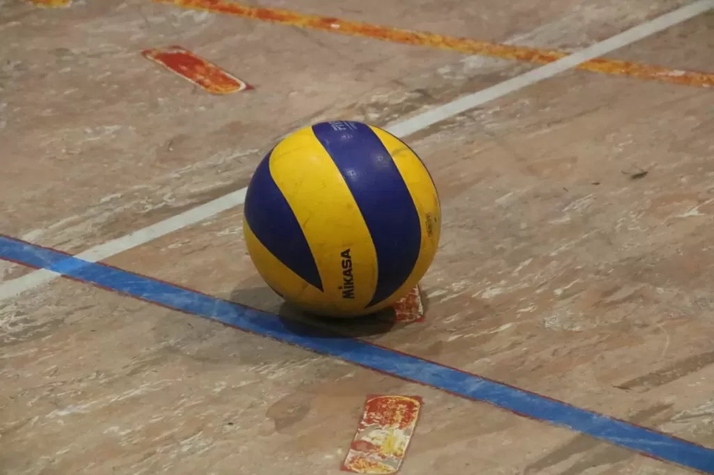 323422118_920675072262606_5334390458142473956_n.webp