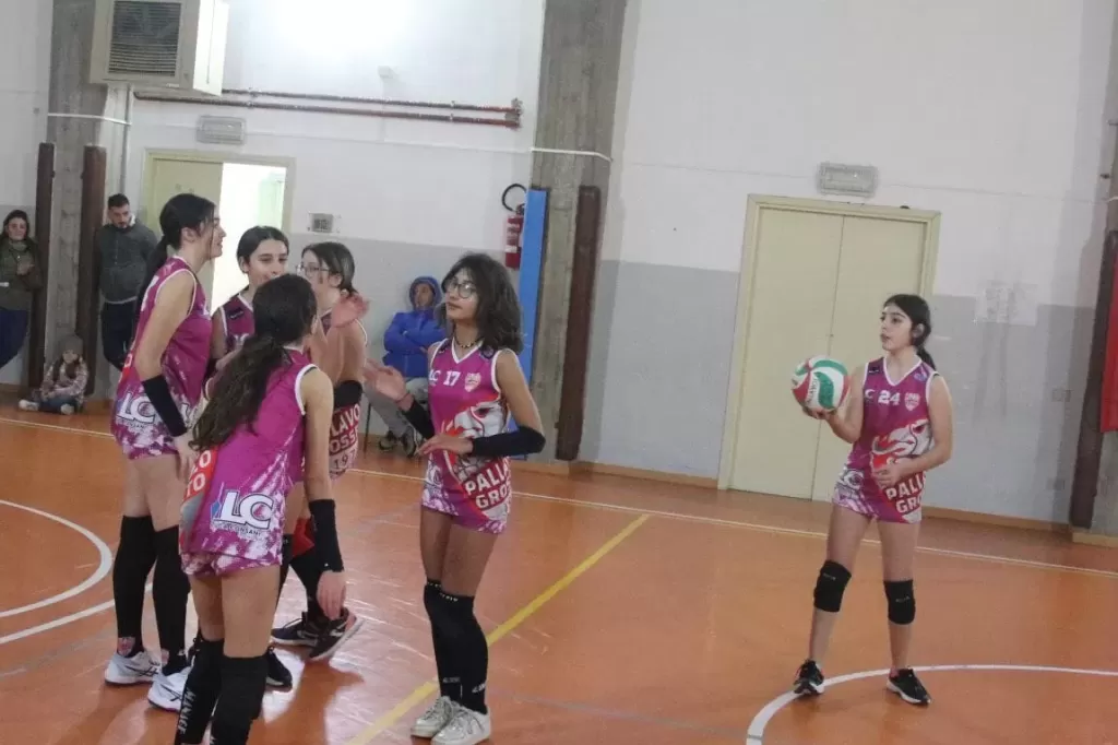 322729827_870429597527511_7624285548968545982_n.webp