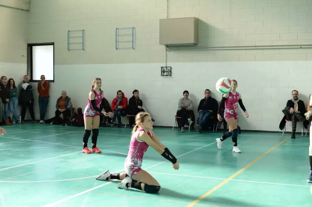 dsc_1849.webp
