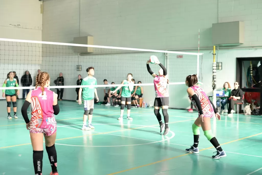 dsc_1863.webp