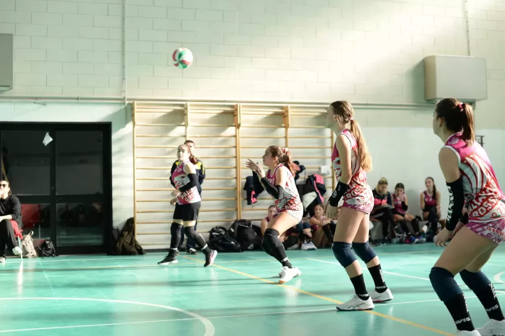 dsc_1911.webp