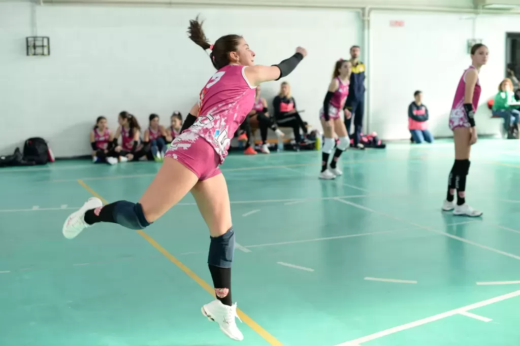 dsc_2054.webp