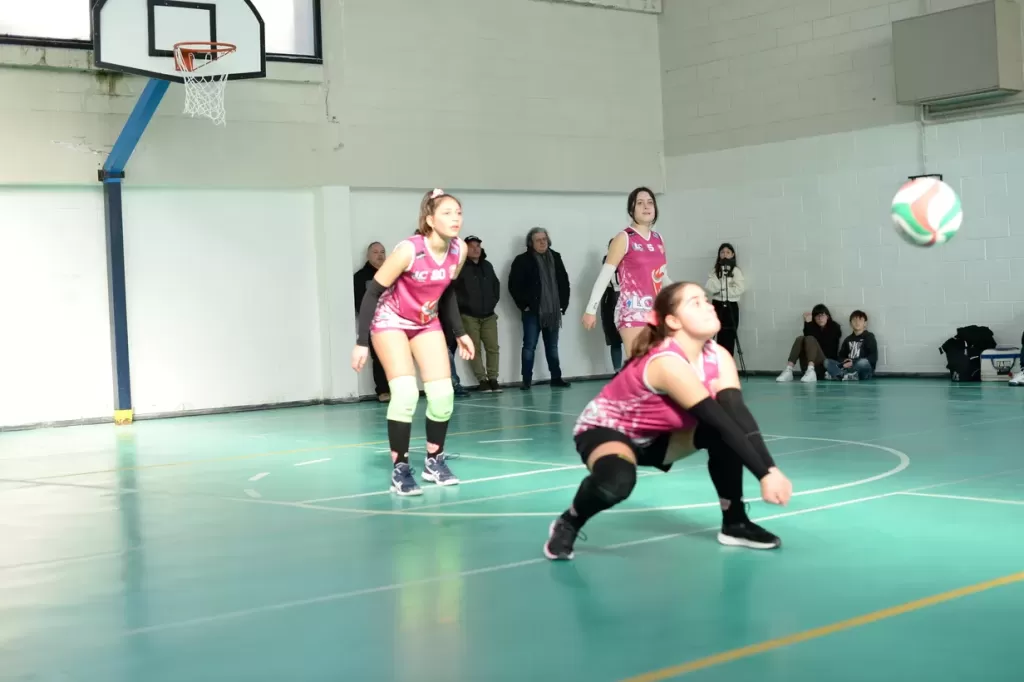 dsc_2316.webp