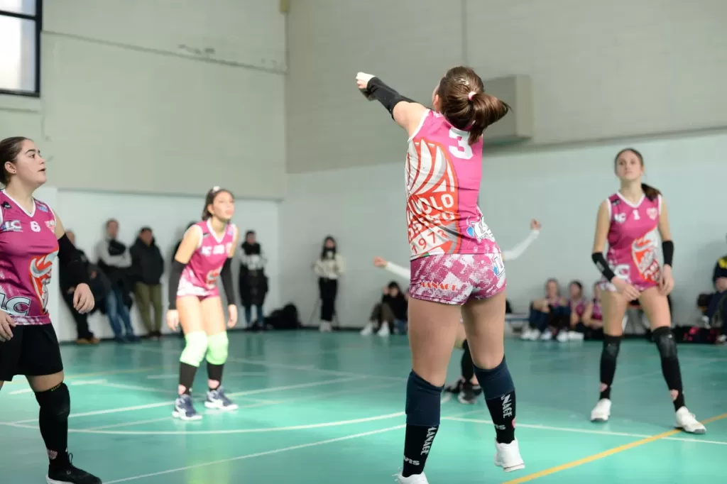 dsc_2322.webp