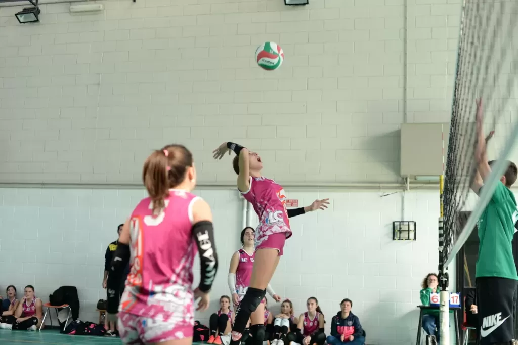 dsc_2359.webp