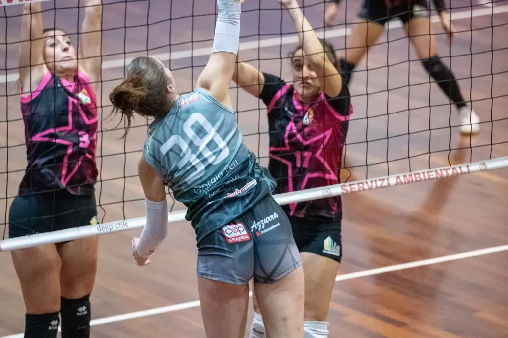 dsc_8144.webp