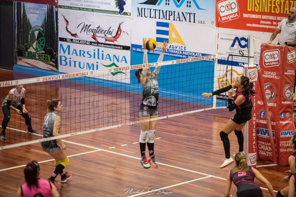 dsc_8274.webp
