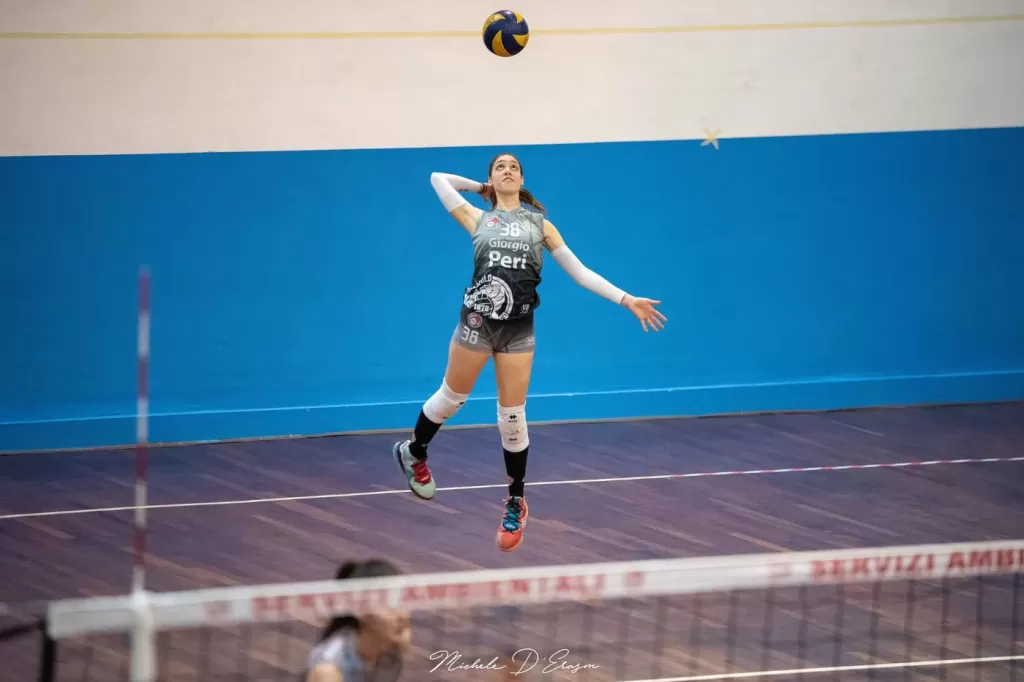 dsc_8295.webp