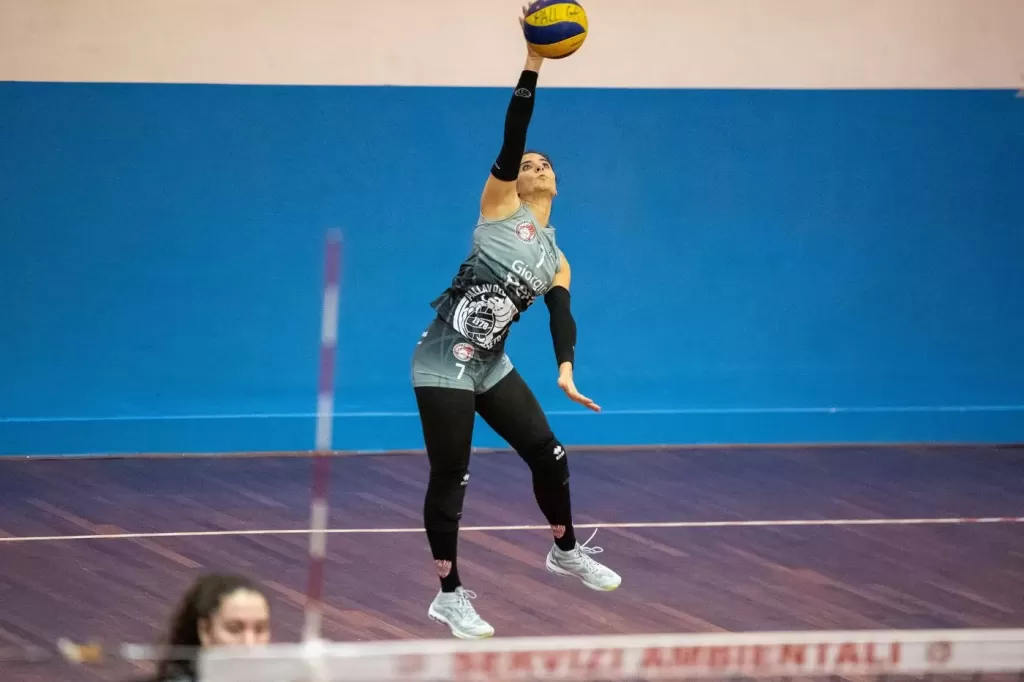 dsc_8338.webp