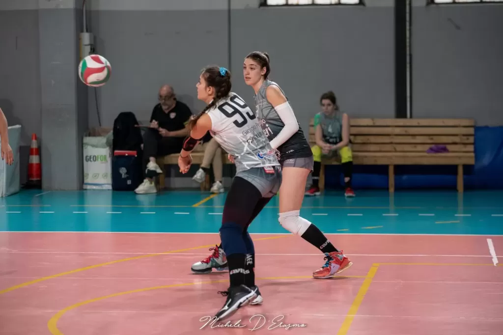 dsc_9363.webp