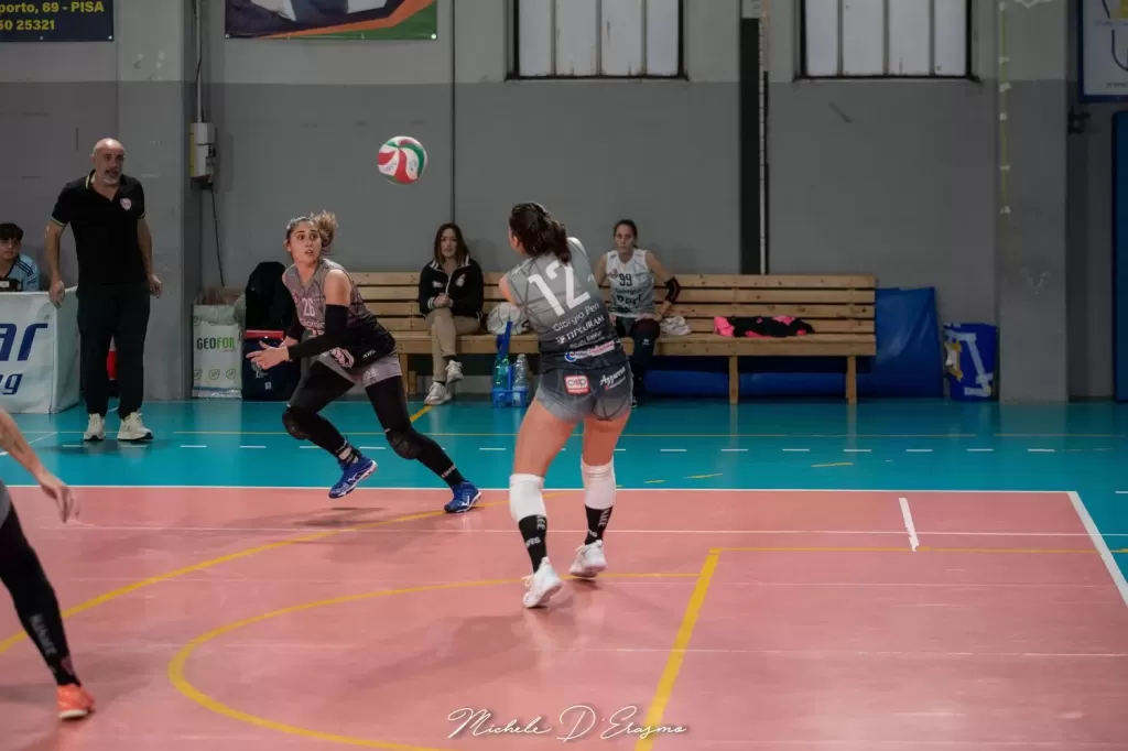 dsc_9446.webp