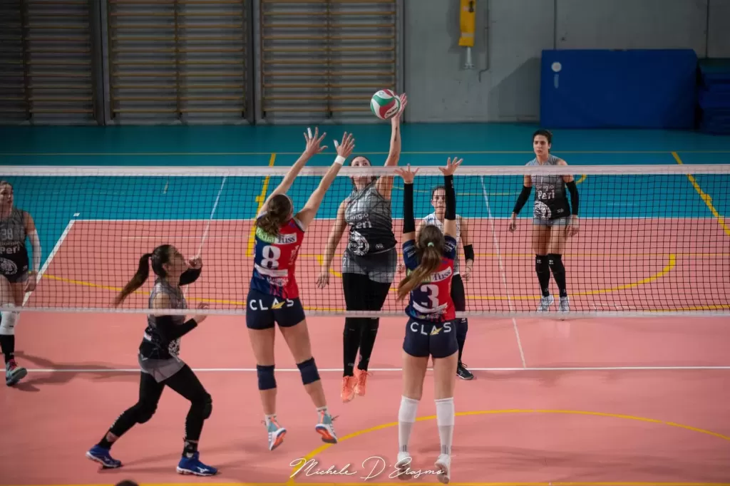 dsc_9484.webp