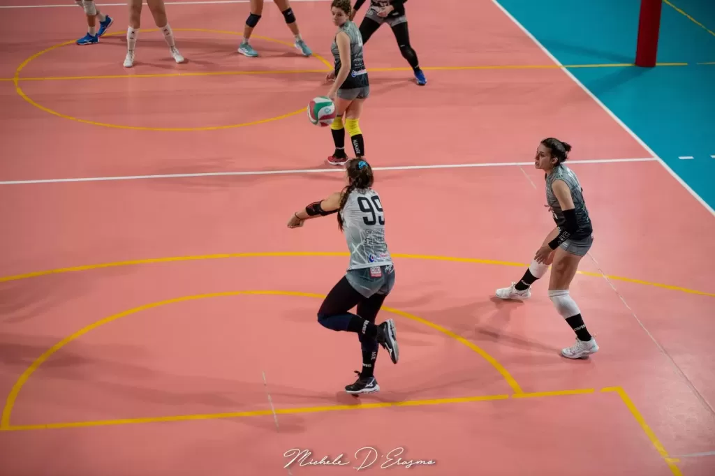 dsc_9501.webp