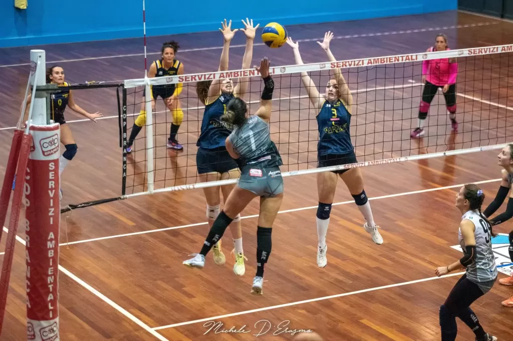 dsc_9648.webp