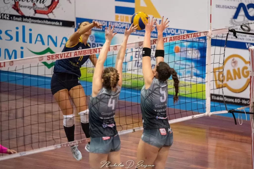 dsc_9664.webp