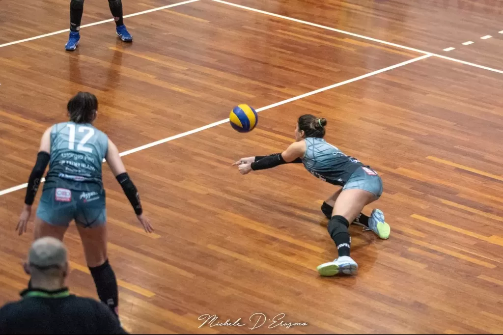dsc_9772.webp