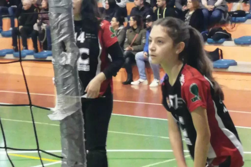 1679253099128.webp