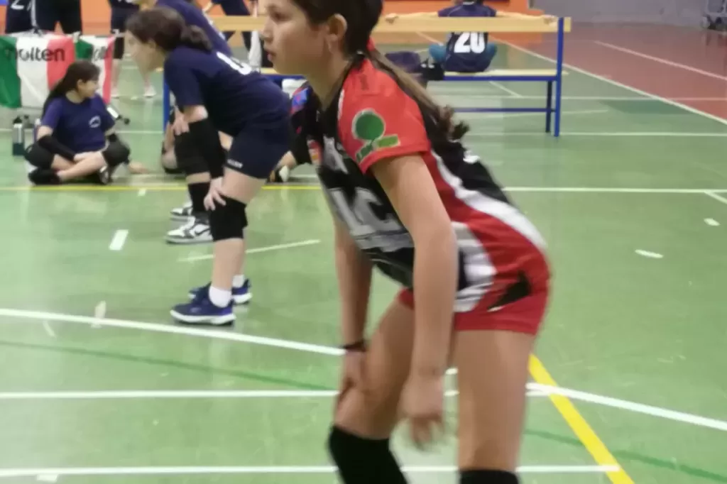 1679253099169.webp