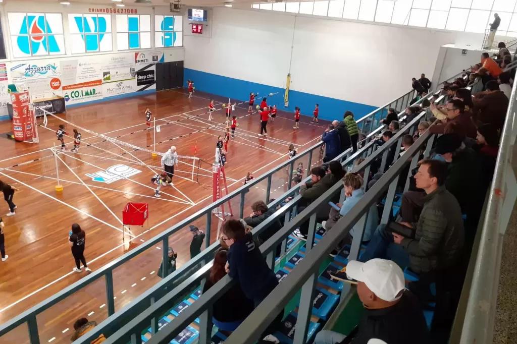 336753328_3645006212447472_9035487828195500356_n.webp