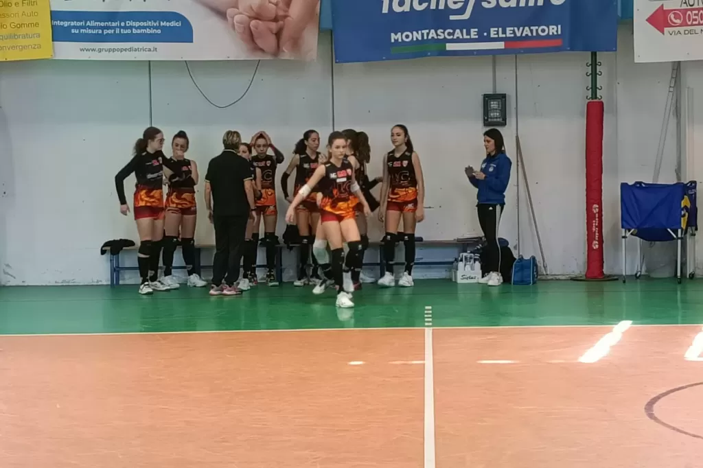 1680446595587.webp