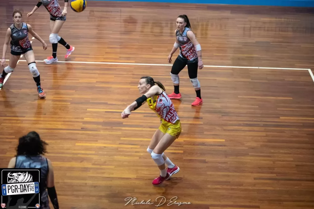 dsc_1684.webp
