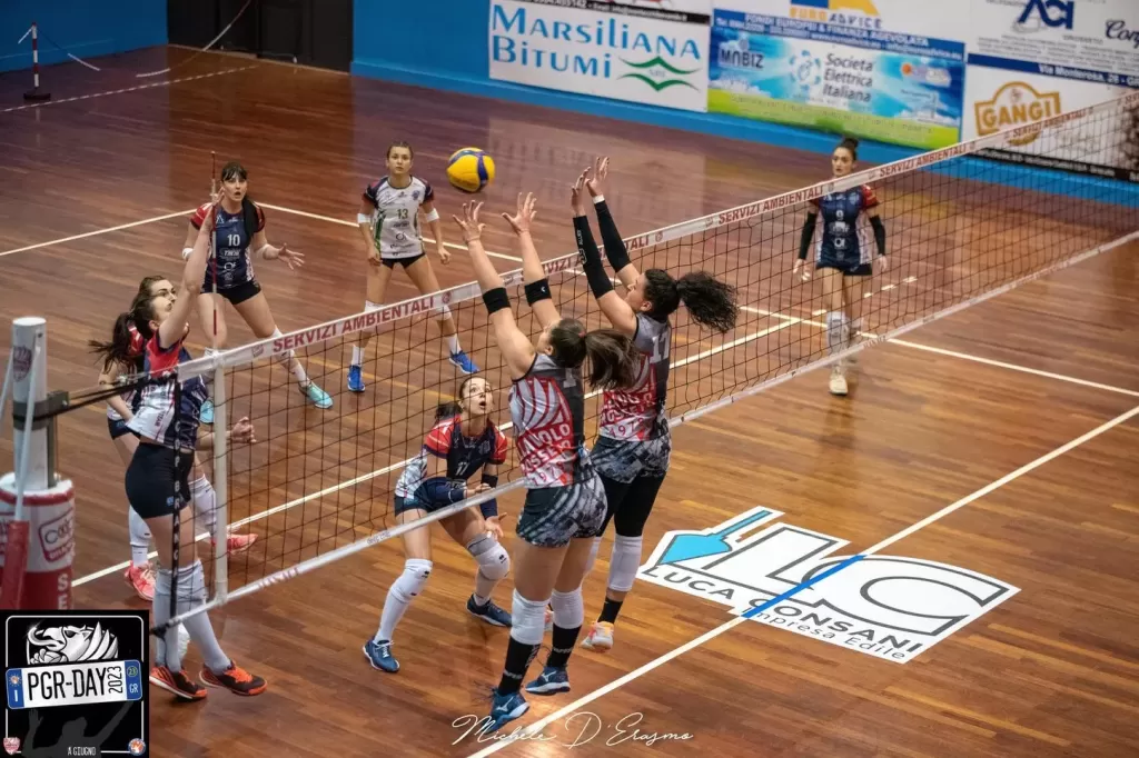 dsc_1693.webp