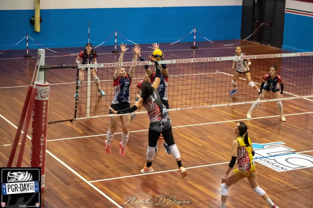 dsc_2081.webp