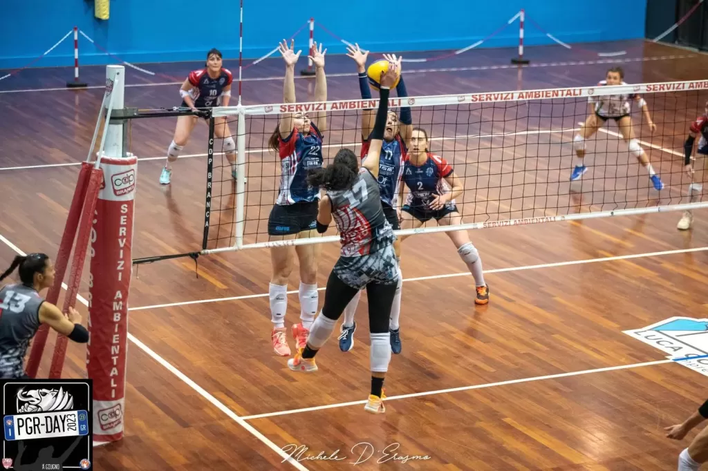 dsc_2083.webp