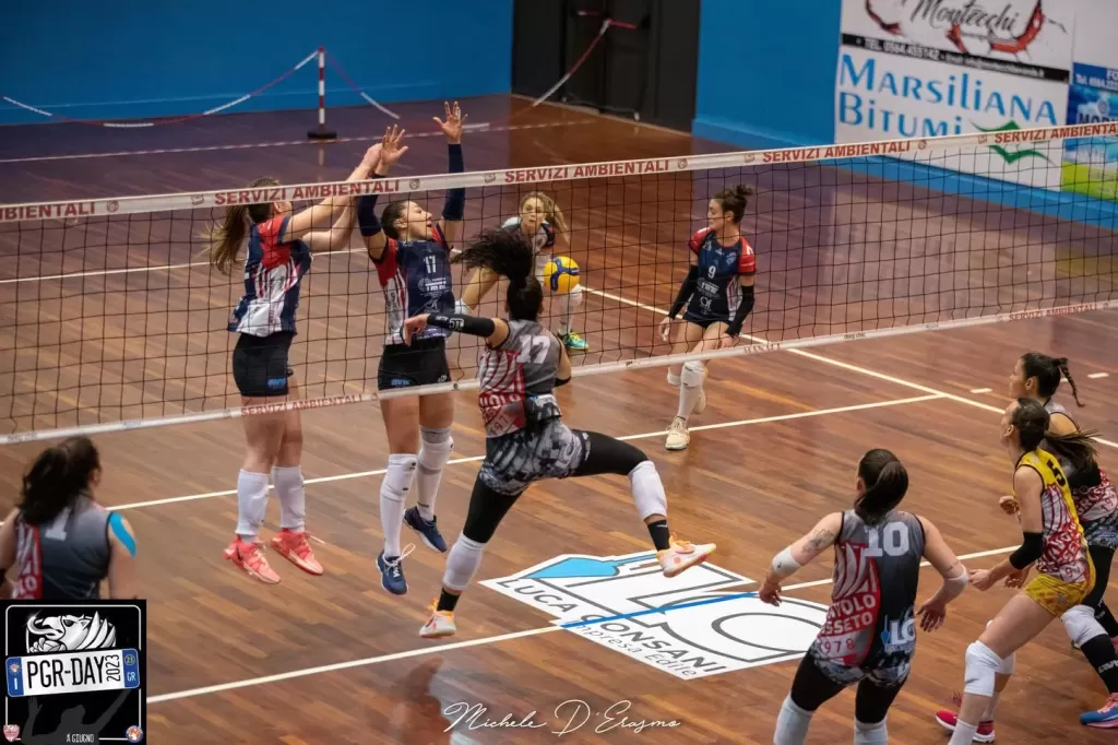 dsc_2149.webp