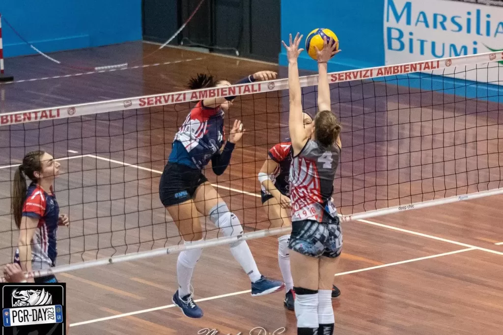 dsc_2185.webp