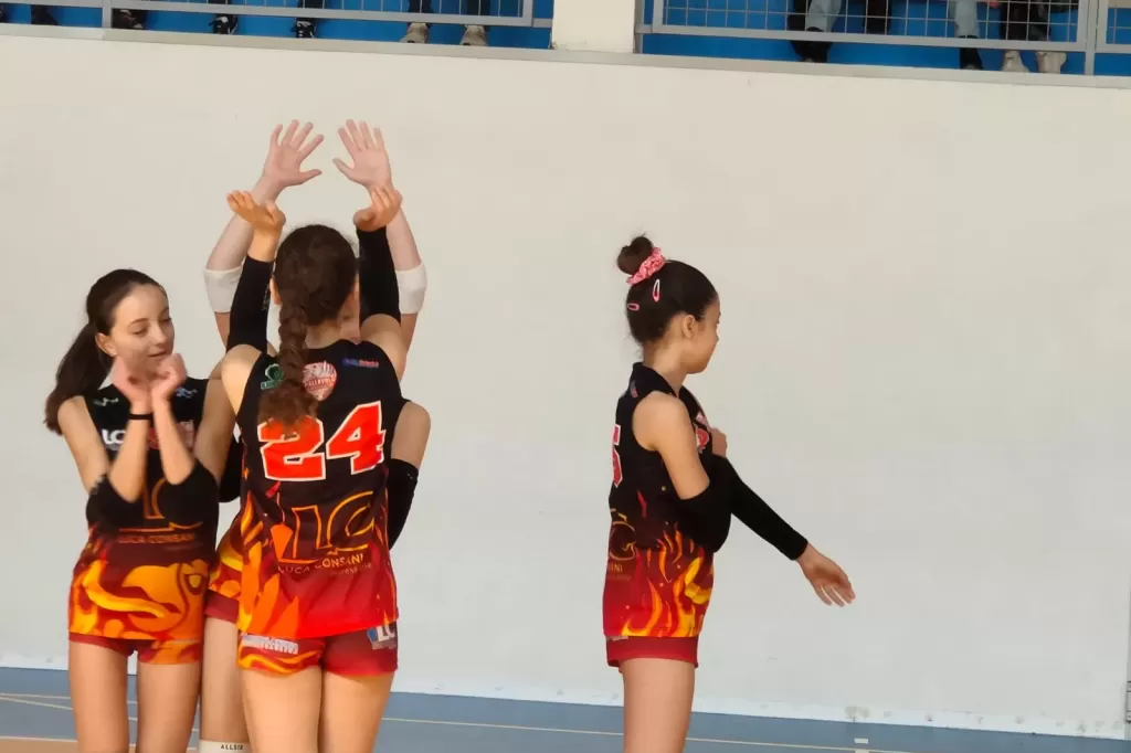 1680894517890.webp