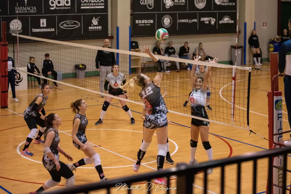 dsc_2534.webp