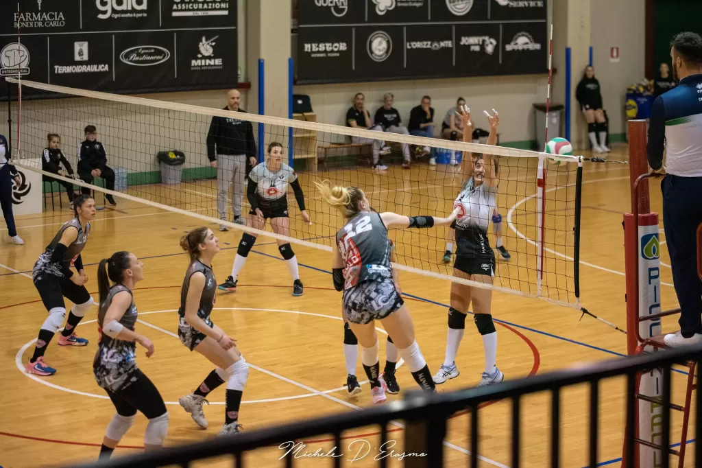 dsc_2535.webp