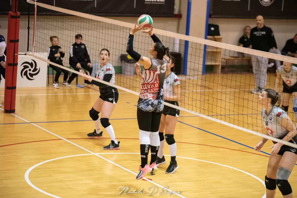 dsc_2550.webp
