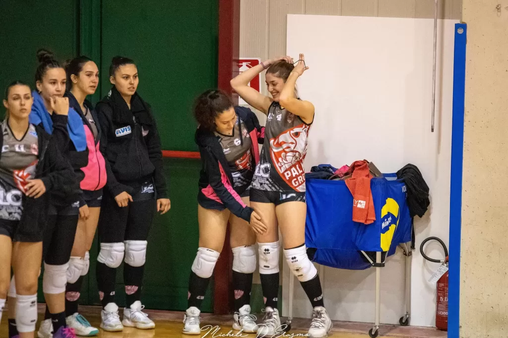 dsc_2558.webp