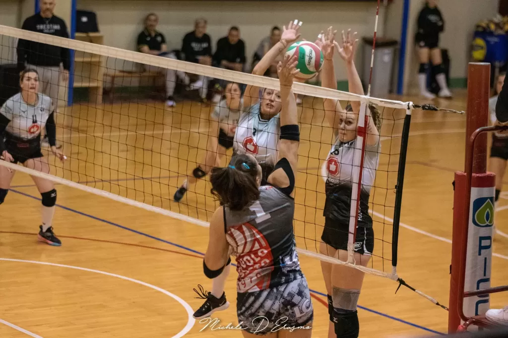 dsc_2564.webp