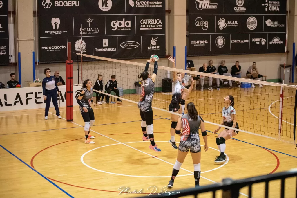 dsc_2579.webp