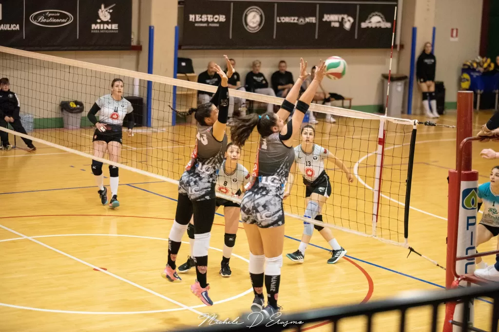dsc_2583.webp