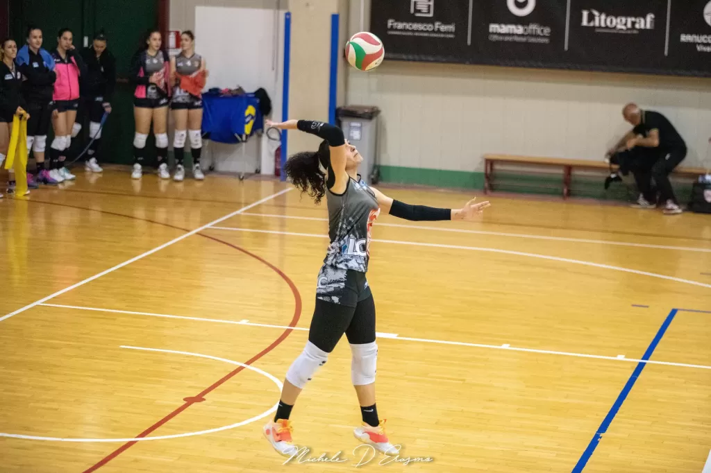 dsc_2593.webp