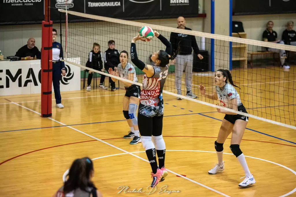 dsc_2597.webp